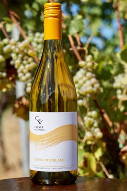 2020 Sauvignon Blanc